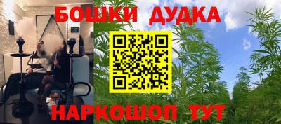 спиды Лесосибирск